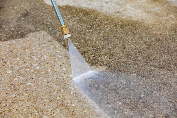 Best Animal Enclosure Cleaning  in Northgate, OH